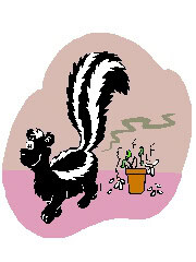 A skunk spraying fumes at a flower pot. 
