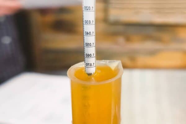 The Best Ph Meter For Brewing 1 Best pH Meter For Brewing