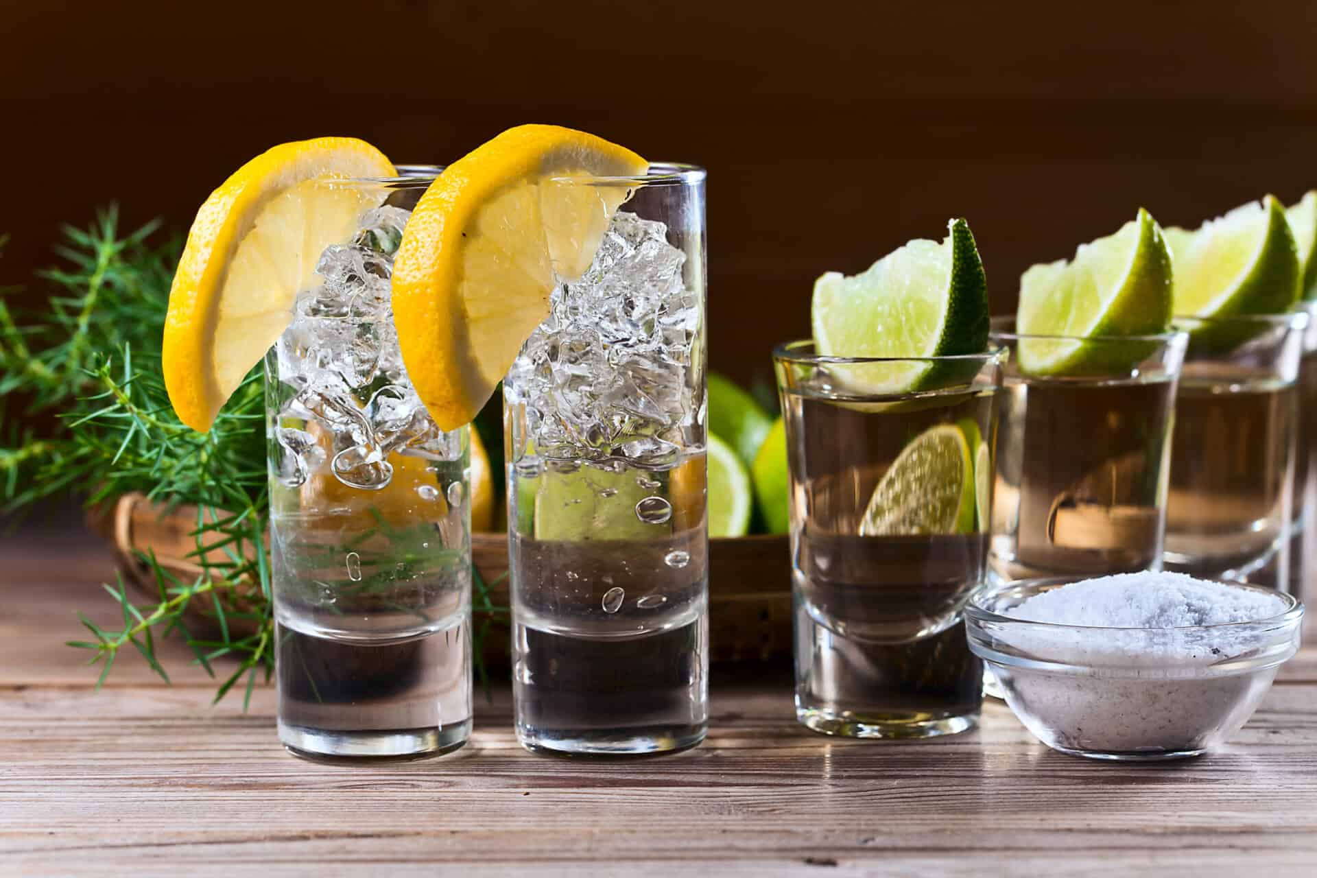 Gin vs. Vodka 1 Gin Vs. Vodka