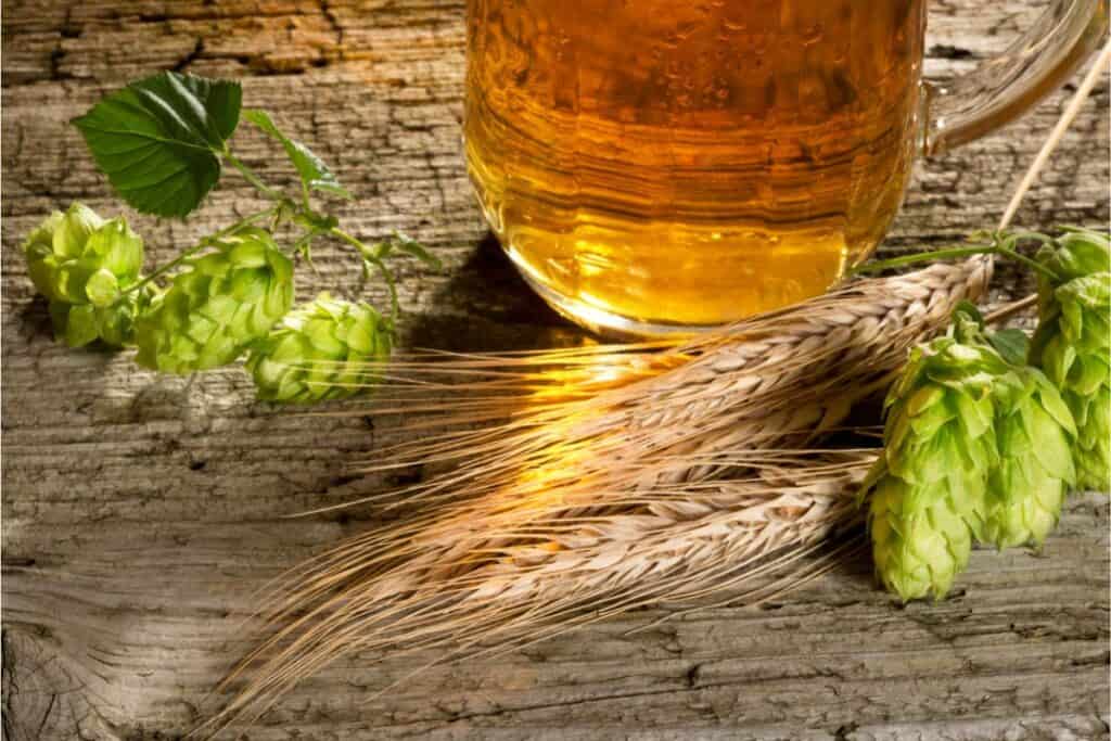 First Wort Hopping: The Art of Unlocking Flavor Potential 4 First Wort Hopping