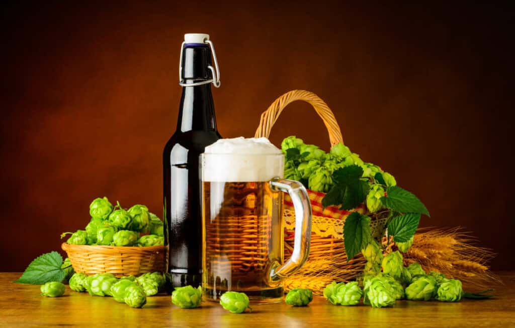 Different Types of Hops and How They Are Often Used 8 types of hops