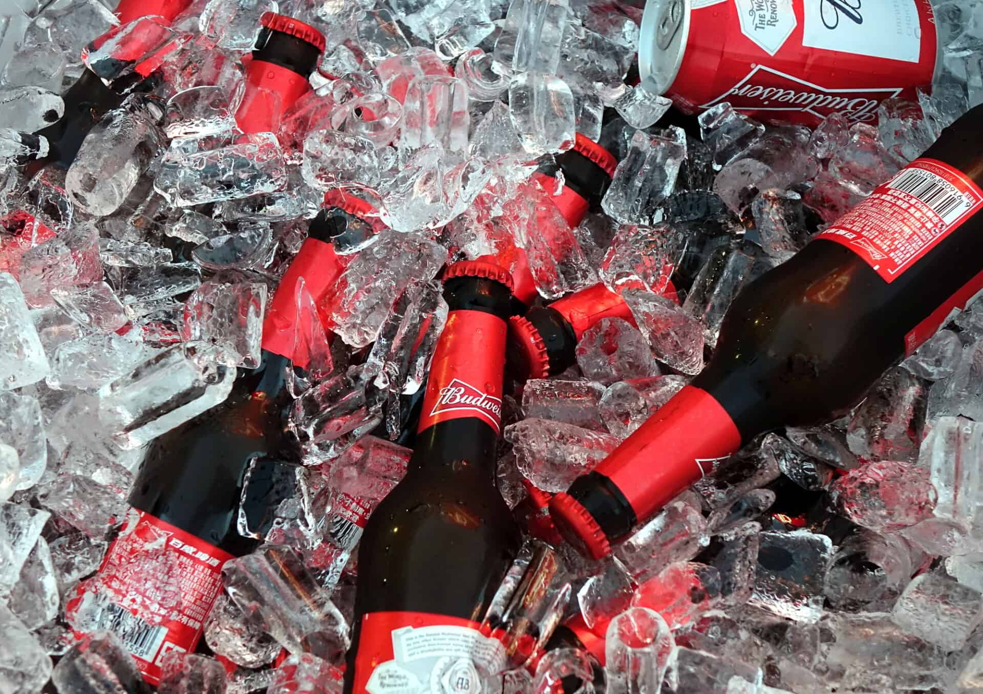 How Long Does It Take Beer To Freeze? Let’s Investigate 1 How Long Does It Take Beer To Freeze